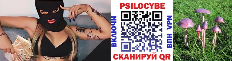 даркнет Telegram Пугачёв Псилоцибиновые грибы MAGIC MUSHROOMS кракен сайт